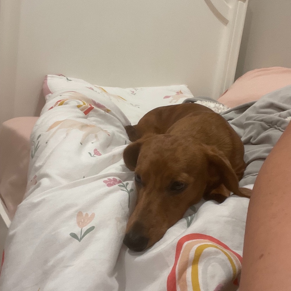 Meet your Posher, Stephanie